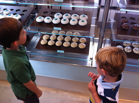 nephews choosing cupcakes