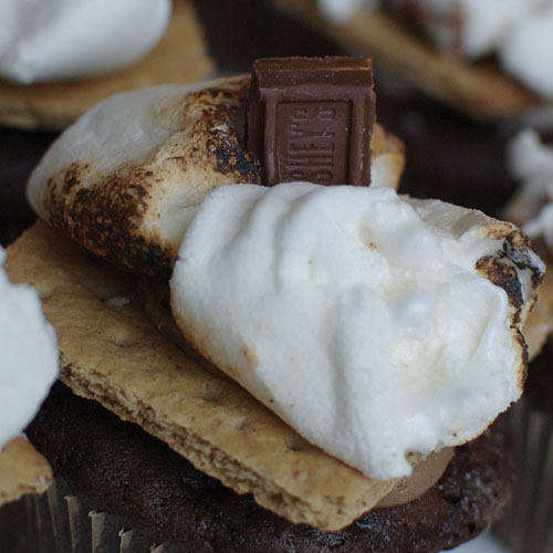 smores cupcake s'mores cupcake