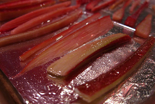 candied rhubarb