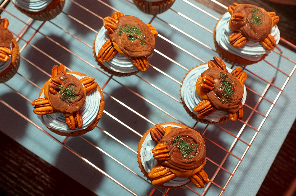 swimming turtle cupcakes