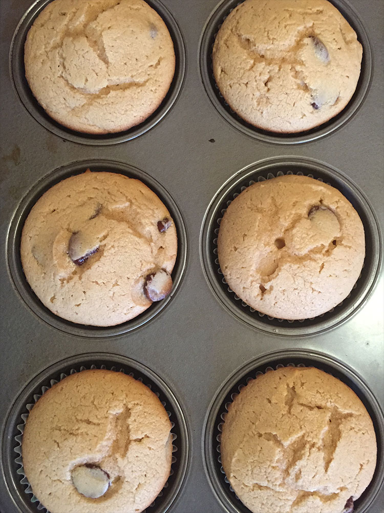 chocolate chip peanut butter cupcakes