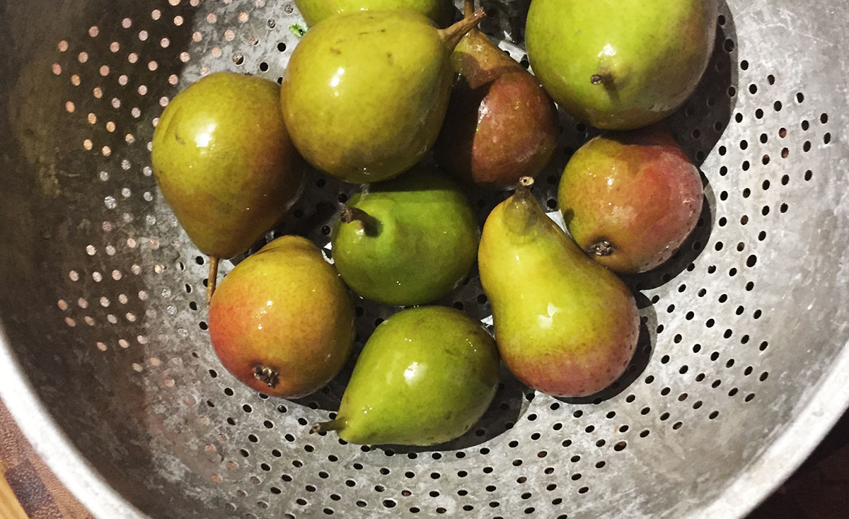 Seckel Pears for cupcakes