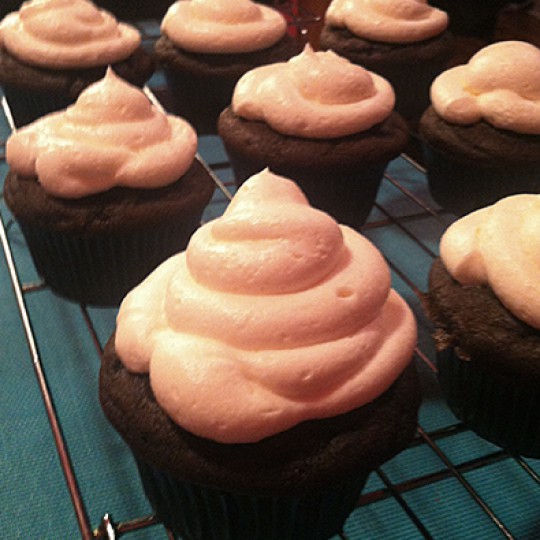 chocolate mint cupcakes