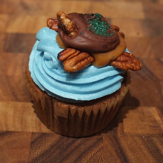 sea turtle cupcake